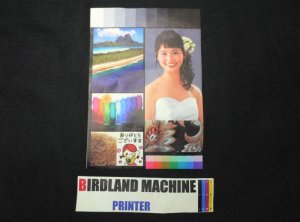 画像4: 衣類用UV転写シート　BーFlex　UVプリンターで衣類などに転写印刷　日本初　0.5M巻き　お試し販売